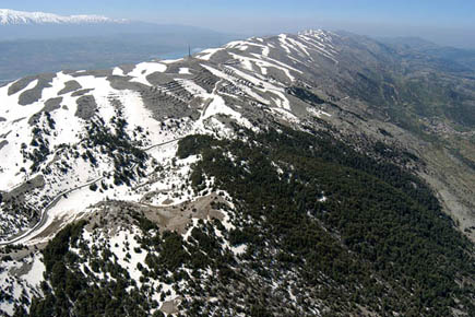 Al Shouf Cedars